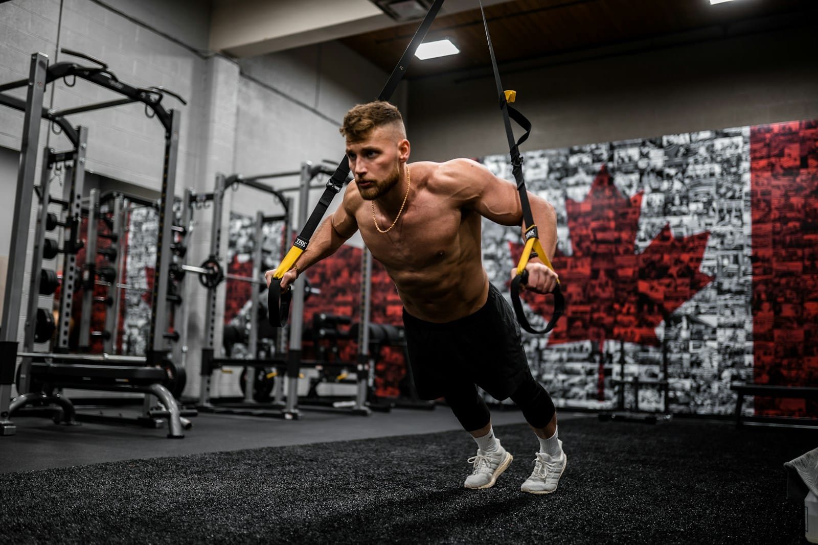 Muscle-Building & Hypertrophy