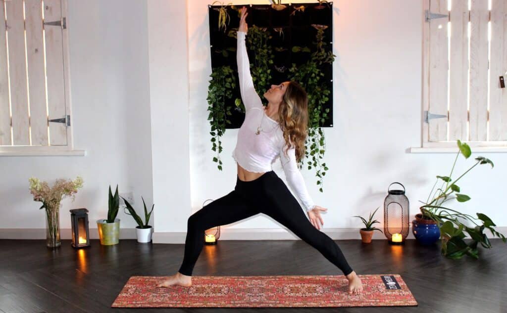 Virtual Personal Trainer